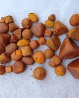 Buy Ox Cow Gallstones online